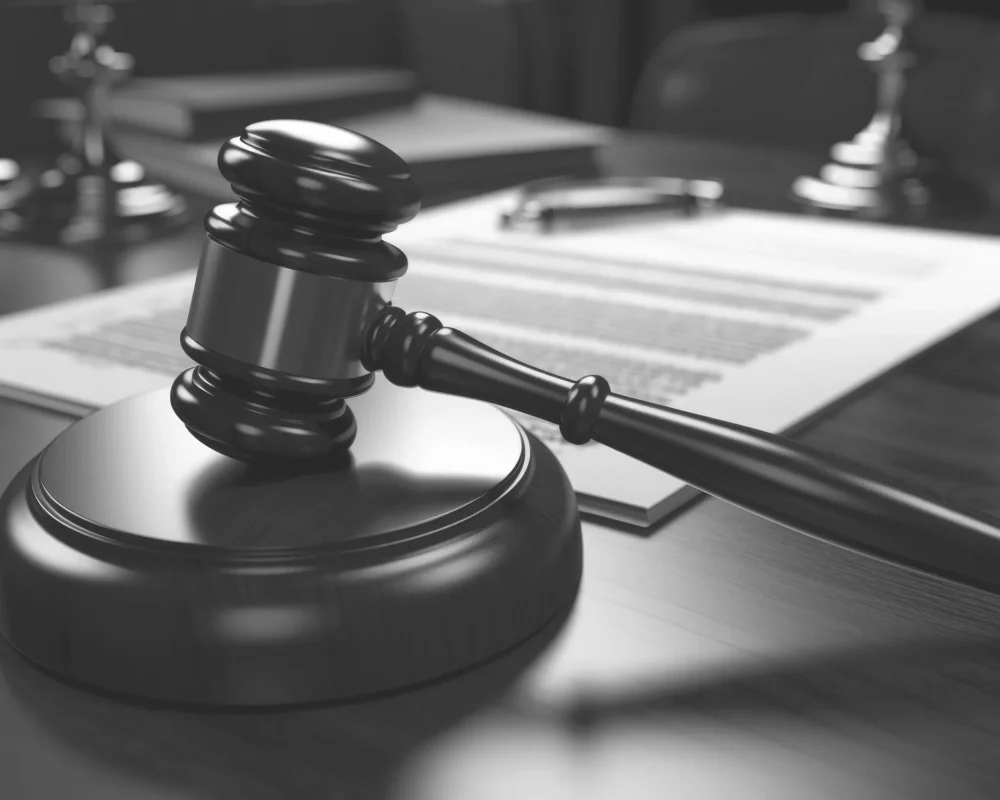 view-3d-gavel-lawyer-s-day copy